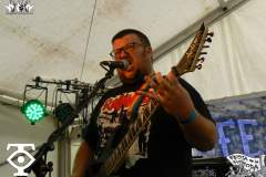 2_Thelesa_Ohnepol_Festa_De_La_Pohoda_29.7.2017_Foto_Syky_c